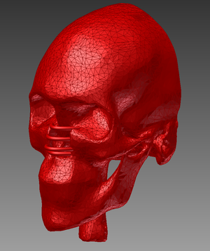 Angell001 skull front.png
