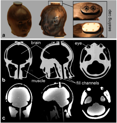 Phantom figure CT MR.png